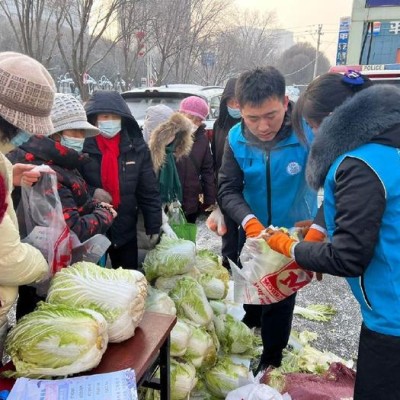 新疆银行昌吉分行志愿者送白菜温暖寒冬，帮农户解忧